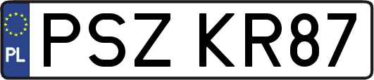 PSZKR87