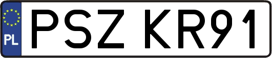 PSZKR91