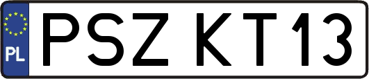 PSZKT13