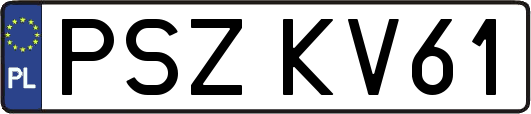 PSZKV61