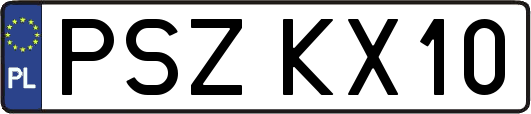 PSZKX10