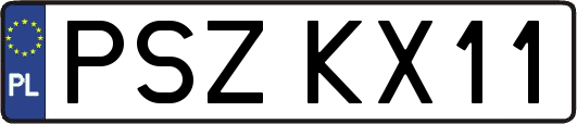 PSZKX11