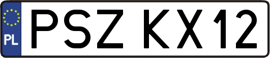 PSZKX12