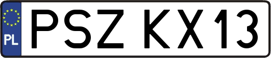 PSZKX13
