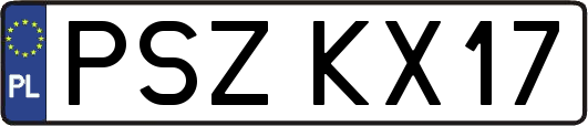 PSZKX17