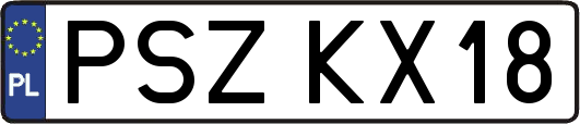 PSZKX18