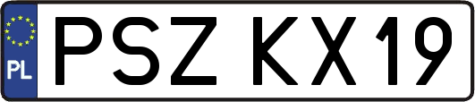 PSZKX19