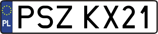 PSZKX21