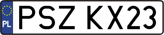 PSZKX23