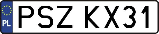 PSZKX31