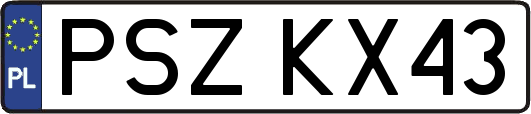PSZKX43