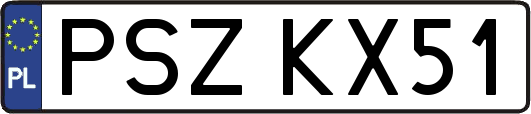 PSZKX51