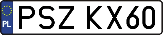 PSZKX60