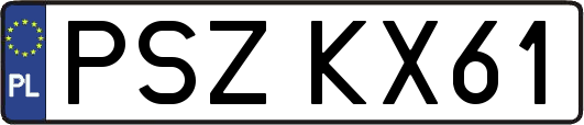 PSZKX61