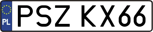 PSZKX66