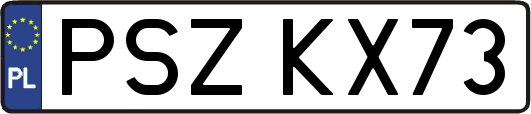 PSZKX73