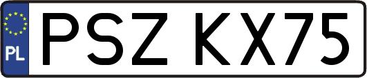 PSZKX75
