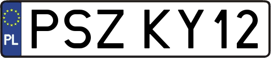 PSZKY12