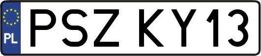 PSZKY13