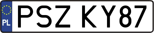 PSZKY87