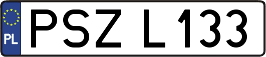 PSZL133