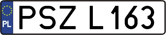 PSZL163