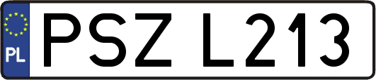 PSZL213