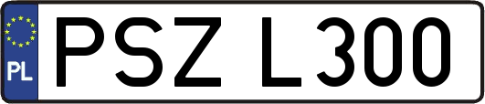 PSZL300