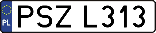PSZL313