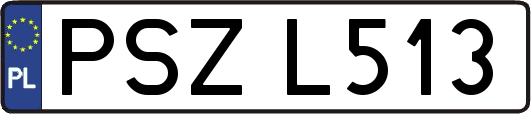 PSZL513