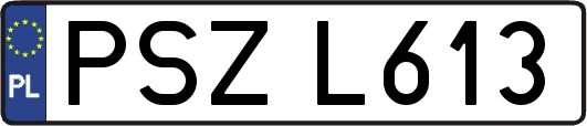 PSZL613