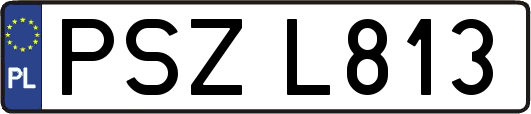 PSZL813
