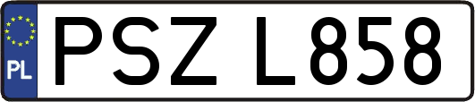 PSZL858