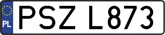 PSZL873