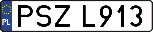 PSZL913
