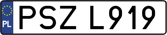 PSZL919