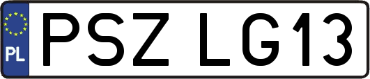 PSZLG13