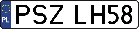 PSZLH58