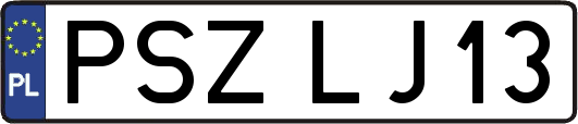 PSZLJ13