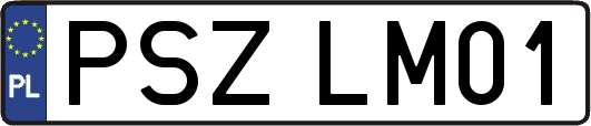 PSZLM01