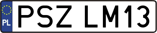 PSZLM13