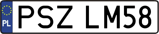 PSZLM58