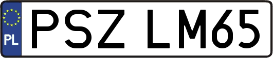 PSZLM65