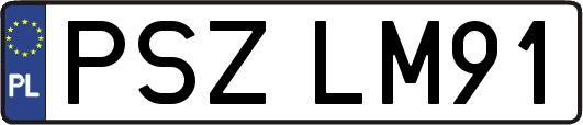 PSZLM91