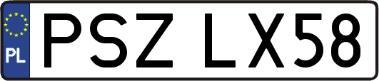 PSZLX58