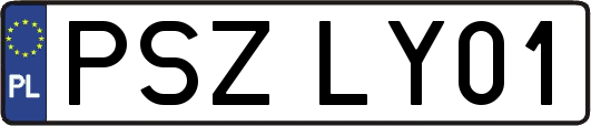 PSZLY01