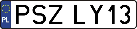 PSZLY13
