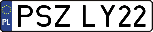 PSZLY22