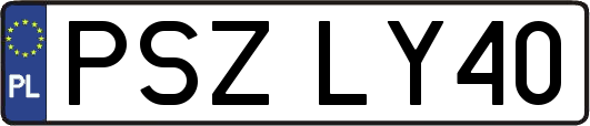PSZLY40
