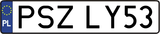 PSZLY53